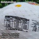 Ayam Kalkun young tender turkey VALLEY FARMS Minnesota USA with pop-up timer HALAL frozen +/- 6 kg/pc (price/kg)